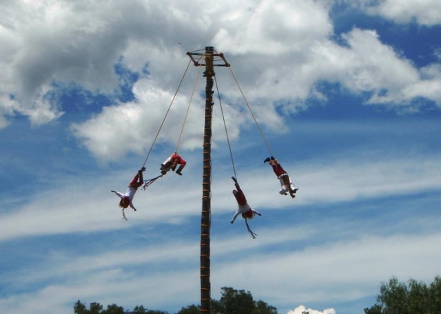 Voladoternera de papantla